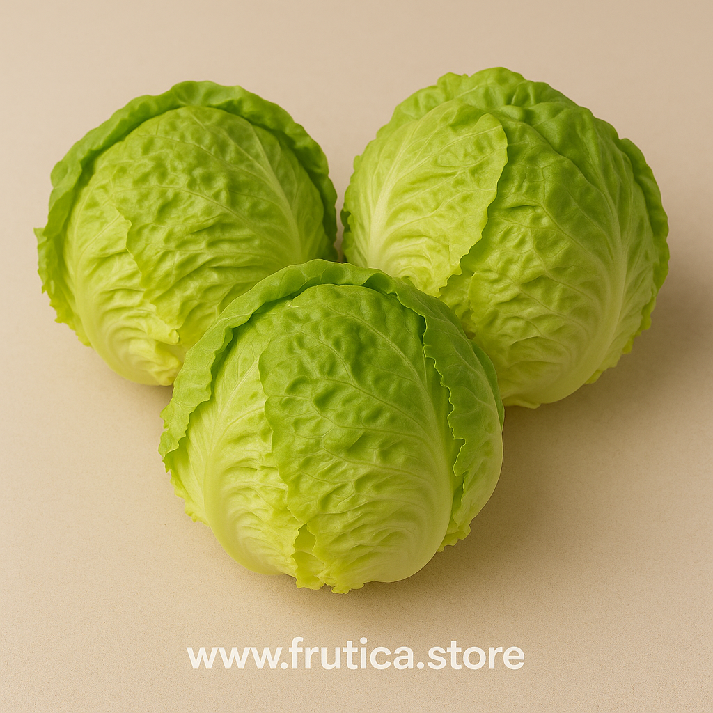 Lechuga